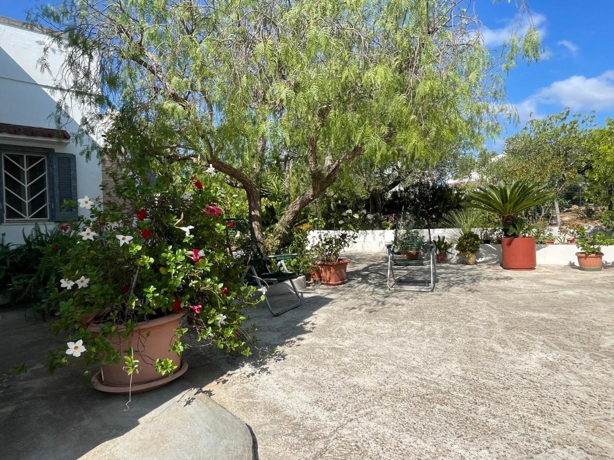 Villa Gioia Ostuni Exterior foto